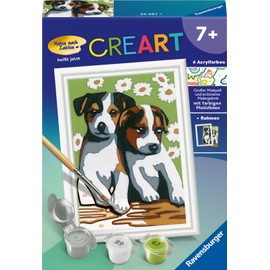 Ravensburger Paint by Numbers