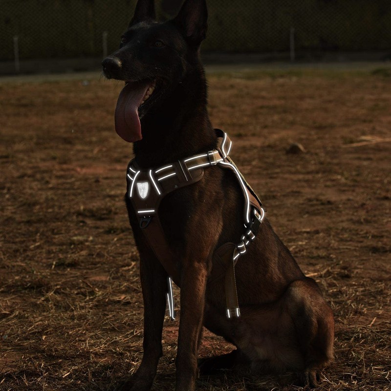 CBBPET Tactical Dog Harness for Small Medium Large Dogs No