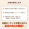 [ペダック] 国内正規品 インソール ビバウィンター 中敷き 衝撃吸収 アーチサポート 革 靴 末端