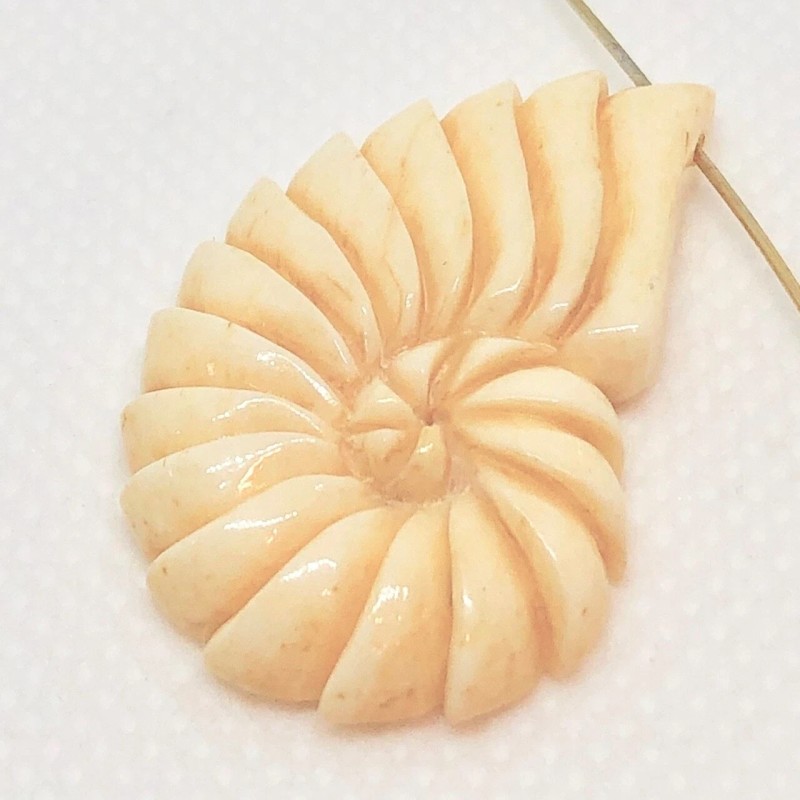 PremiumBead Nautilus Bone Bead | 35x21x4mm | 1 Bead |