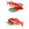 Cat Jinyama Hopebow Bamboo Barley Fish Sea Sea Sea Rock