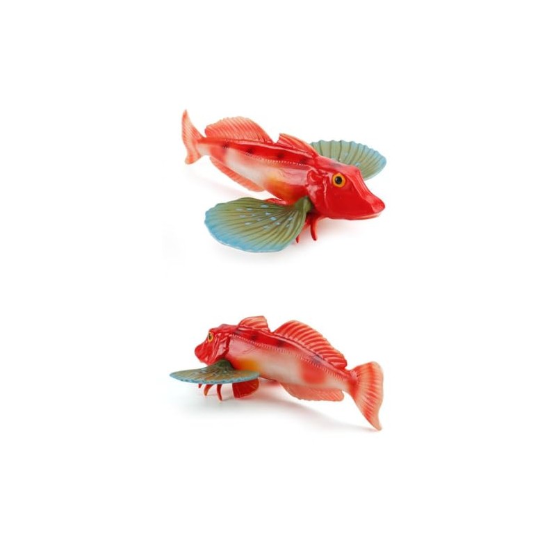 Cat Jinyama Hopebow Bamboo Barley Fish Sea Sea Sea Rock