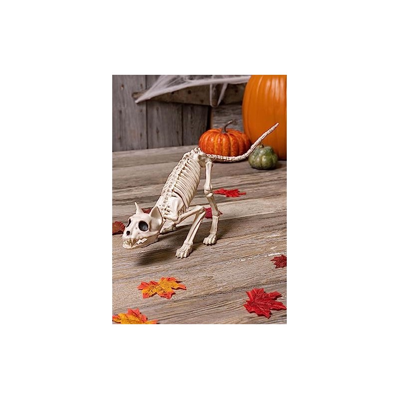 Crazy Bonez Skeleton Cat - Lil' Kitty Bonez