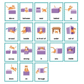 Lachilly Prepositions English Words Learning Flashcards, High Frequency Words, Beginning Reading, Kindergarten ESL Teaching Materials, Autism Learning Materials, Vocabulary Building, 10 Cards 18 Words