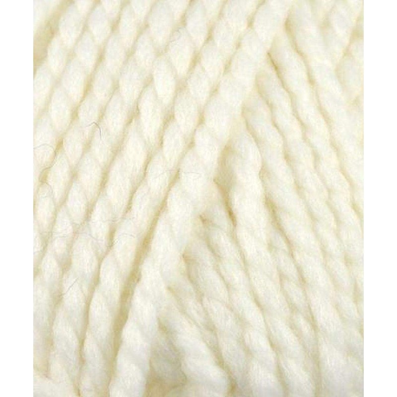 Plymouth Yarn Encore Mega 1386