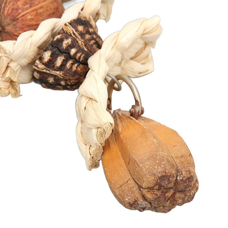 Parakeet Beak Stone Parrots Trimming Chew Toys Set Bird Nuts