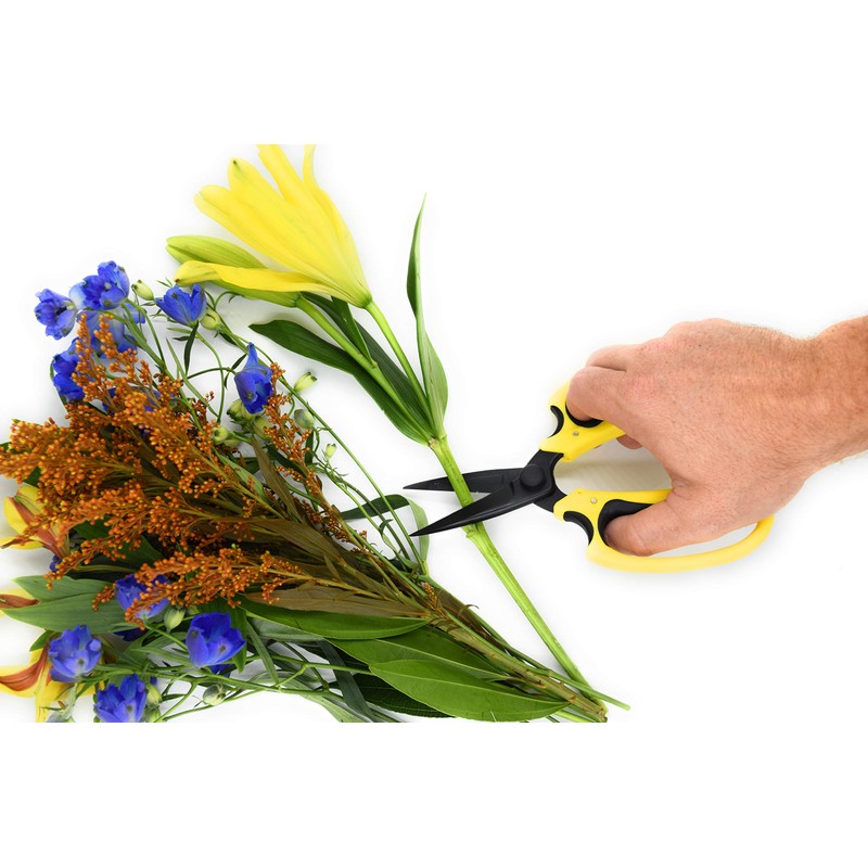 Micman Professional Grade Floral Scissors.