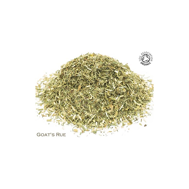 Organic Goat's Rue Pure Herbal Infusion (25 Unbleached Tea Bags