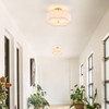 Widluth Modern Semi Flush Mount Ceiling Light Modern Gold 3-Lights