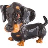 Little Paws - Frankie - Dachshund