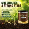 2Pcs Yegbong Soil Activator, Soil Pro Activator, Nauticos SoilActivator