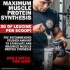 Nutrex Research EAA Hydration | EAAs + BCAA Powder |