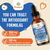 Prunucis 2000MG Liposomal Glutathione Liquid, 98% Absorption, Active Form L-Glutathione