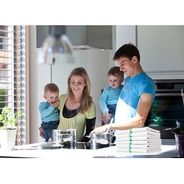 Bulk Economy Wholesale Kitchen Dish Towels (100 Towels) - 100% Cotton Herringbone - Commercial Grade - Bleach Resistant - Restaurant Bar Mops - 24 oz/dz - White with Green Stripes (Green, 100)