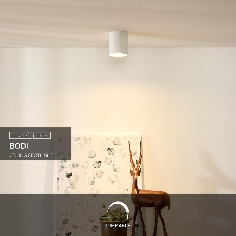 Lucide BODI GU 10 Ceiling Light 8 x 9.5 CM