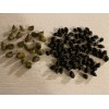 15 Periwinkle + 50 Nassarius Live Saltwater Snails Fish Tank