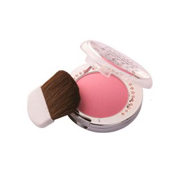 Prorance Choose from 7 types of Prorance makeup blushers / 프로랑스 메이크업 블러셔 7종 중 선택