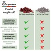 Samsara Natural Benzoin Resin Frankincense, Pure without Additives, Elegant and