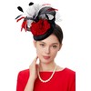 BABEYOND Fascinator Hat Feather Fascinators Hair Clip Tea Party Pillbox