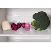 Mister Magic Refrigerator Odor Absorber – Fridge Deodorizer, Long Duration,