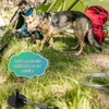 Duckygoo Dog Tie Out Cable & Stake with Lock-Cap, Heavy