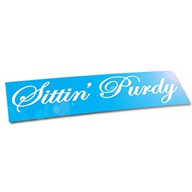 Sittin' Purdy car 8" Window Decal/Sticker__ JDM Euro Drift Race Stance Molar 4x4 Style