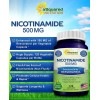 Nicotinamida 500 Resveratrol Precursor Nad Gmp