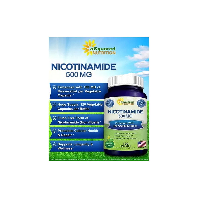 Nicotinamida 500 Resveratrol Precursor Nad Gmp