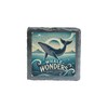 Whale Wonders Slate Drinks Coaster - Nautical Ocean-Themed Decor (slco-ds24-whalerg)
