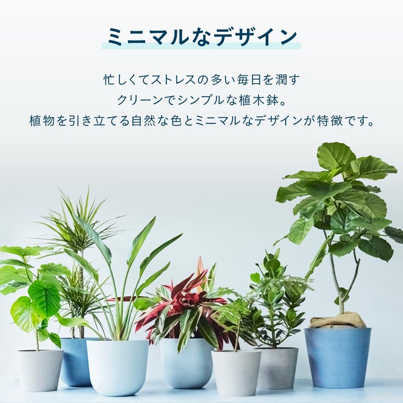 AND PLANTS Pot Cover, No. 3, For Stylish Interior with