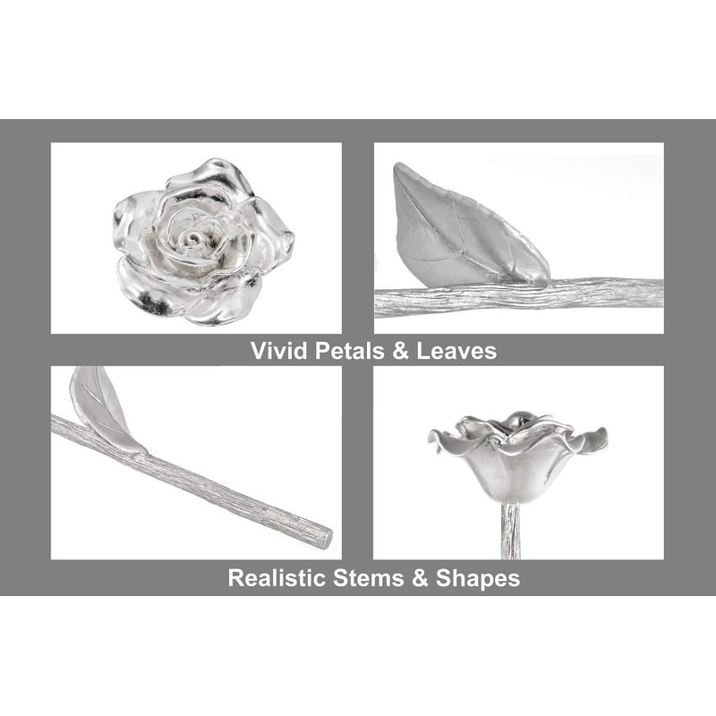 BESZONE Tin Rose 10th Anniversary for Her Gift - Tin