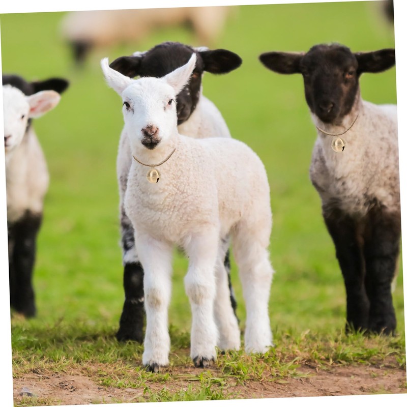 Kisangel Elegant Bell Brass Bells for Pet Collar Dog Cattle