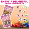Freeze Dried Candy Variety Pack | 2 Pack, 2 Pound
