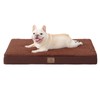 Bedfolks Orthopedic Dog Bed for Large Dogs - Egg Foam Dog Crate Bed with Removable Waterproof Cover, Pet Bed Mat Suitable for Dogs and Pets Up to 65 lbs (36 x 27 x 3 inches, Brown)