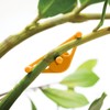 50 Packs Plant Support Clip Branch Reusable Adjustable Stem Trainer