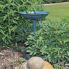 CLGarden Bird Bath VGT1 Bird Bath with Foot for Planting