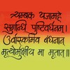 Aditri Creation Handpainted Shiv Mantra Wall Hanging/Mahamritunjay Mantra/Divya Mantra Mahamrityunjay