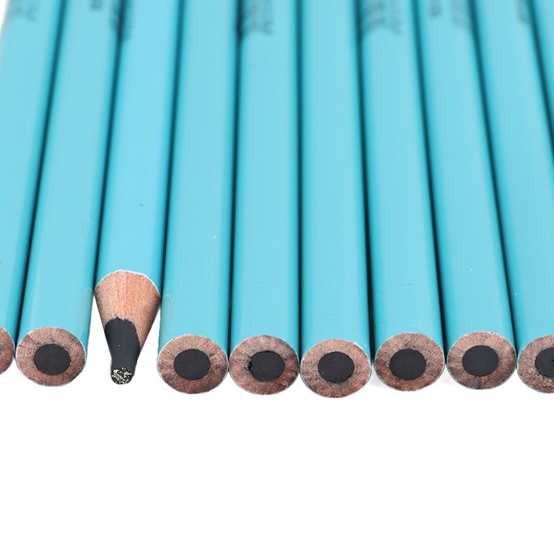 12pcs Charcoal Pencils Set Synthetic Wood Sketching Drawing Pencils for