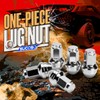 M14x2.0 OEM Lug Nuts Fit 2000-2014 Ford F150, 24PCS One