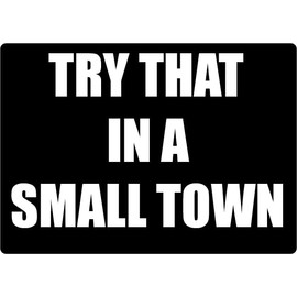 Try That in A Small Town- Vinyl Decal Sticker-Country-Music-Truck-CAR-Van-SUV-Window-Wall-Cup-Laptop-ONE 6x8 INCH Single White Decal Sticker- Try That