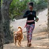 Nathan Dog Harness. Teaching Attachment/No Pull/Reflective/Lift Handle. for Running or