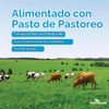 FORESTLEAF colágeno multi avanzado tipo I II III con ácido