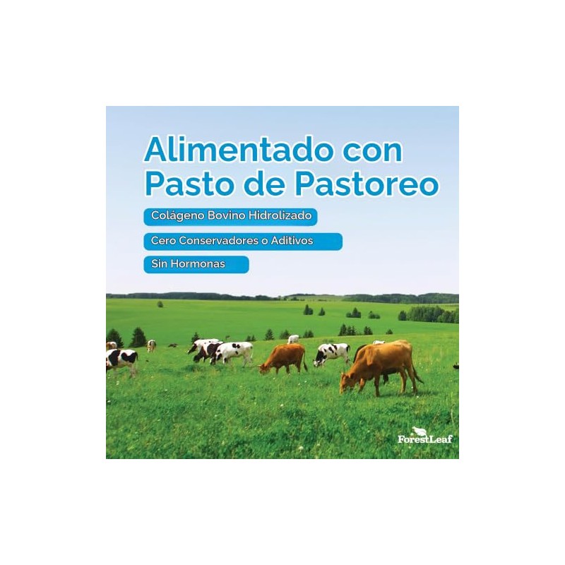 FORESTLEAF colágeno multi avanzado tipo I II III con ácido