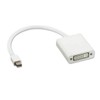 Mini Display Port to DVI Adapter