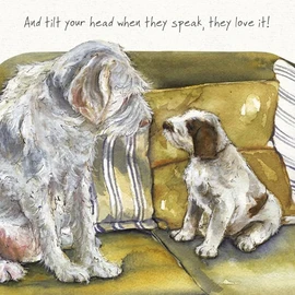 Little Dog Laughed Birthday/Blank Funny Card for Men/Women - General Humour Male/Female Card - Tilt Your Head - Eco-Friendly