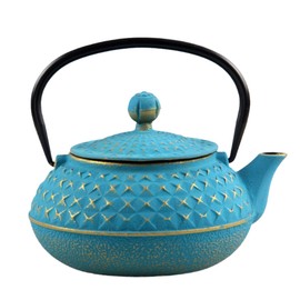 Cast Iron Teapot with Stainless Steel Infuser for Stovetop, Made in China, Safe Coated with Enameled Interior - 20.3 Oz/0.6 Liters
