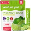 Venture Pal Sugar Free Electrolyte Powder Packets - Liquid Daily