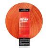 Loreal Excel Hicolor Hilights Copper 1.2oz (3 Pack)