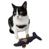 Pet Life ® Durable Fish Plush Kitty Catnip Cat Toy