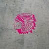 Decal Stickers of Indian Chief Skull with Tomahawk (Pink) (Set